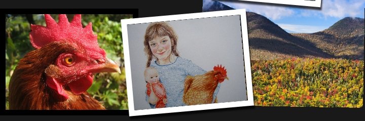 colored pencil drawings Kim McKay. All rights reserved, including posting on web. Thanks.