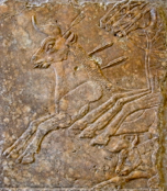 Nineveh panel bulls: one horn